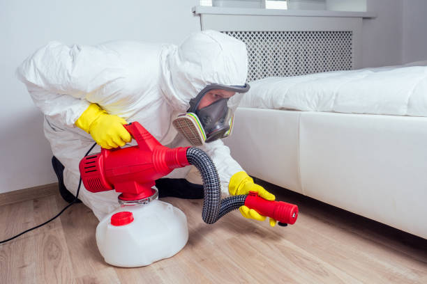 Reliable Cornish, ME Pest Control Solutions